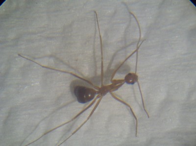 PICT0164 (resized).jpg