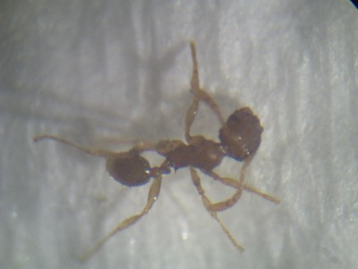 PICT0168 (resized).jpg