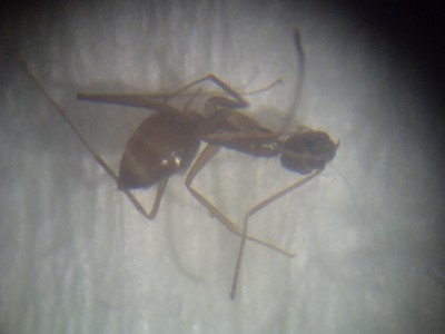 PICT0173 (resized).jpg