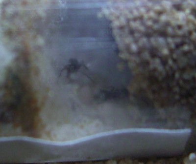 Verschwommen und verwackelt - Teil 3
(krieg es leider nicht besser hin) / CIMG1141.JPG CIMG1141.JPG