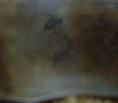 Verschwommen und verwackelt - Teil 2 / CIMG1130.JPG CIMG1130.JPG