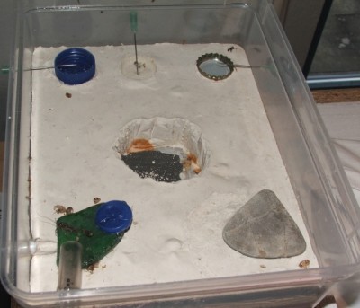 20 07.07.2011 a Arena.JPG