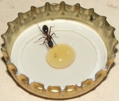 22 23.08.2011 b erster Kontakt 2.JPG