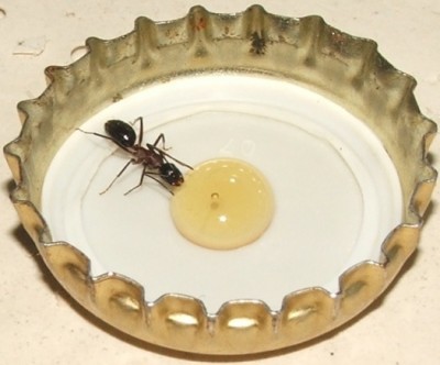 22 23.08.2011 c erster Kontakt 3.JPG