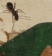 22 23.08.2011 h Rückweg 2.JPG