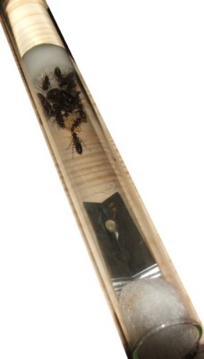 25 05.10.2011 a letzte Fütterung 1.JPG