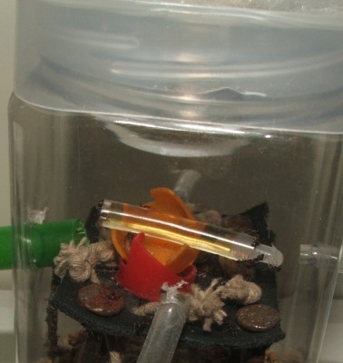 03 28.02.2011 b Honig in der Arena 2.JPG