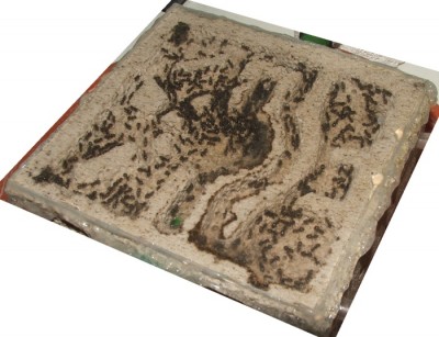 03 28.02.2011 g Futterverteilung im mittleren Modul 2.JPG