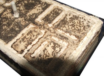 03 28.02.2011 m großes Modul rechts unten.JPG