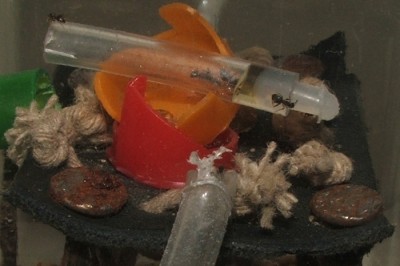 05 04.03.2011 b fast leer 2.JPG