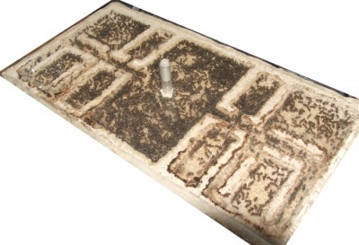 05 04.03.2011 d großes Nest satt.JPG