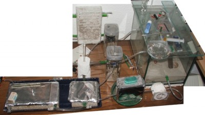 06 31.03.2011 a Gesammtanlage nach Umzug aus Winterquartier.JPG