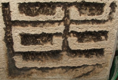 07 31.03.2011 i Vertikalnest Frontansicht.JPG