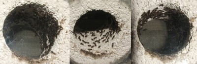 07 31.03.2011 k Wasserschleuse.JPG