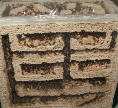 14 14.04.2011 c Eier und Puppen.JPG