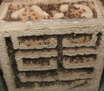 16 16.04.2011 c Vertikalnest Frontansicht.JPG