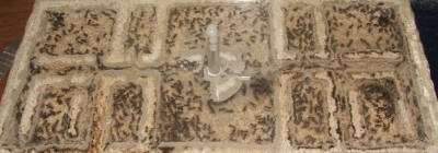 17 20.04.2011 b großes Horizontalnest.JPG (158.98 KiB) 7076-mal betrachtet 17 20.04.2011 b großes Horizontalnest.JPG