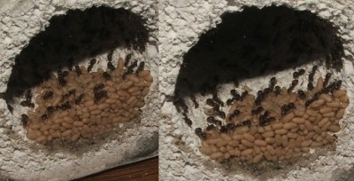 17 20.04.2011 f Wasserschleuse mit Puppen.JPG (124.81 KiB) 7042-mal betrachtet 17 20.04.2011 f Wasserschleuse mit Puppen.JPG