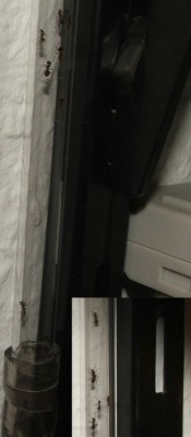 18 21.04.2011 a Aufstieg.JPG