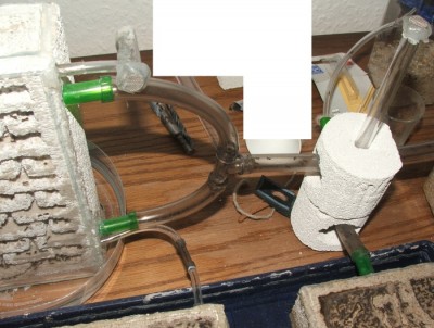 19 22.04.2011 b großer Schlauch zum Nest.JPG