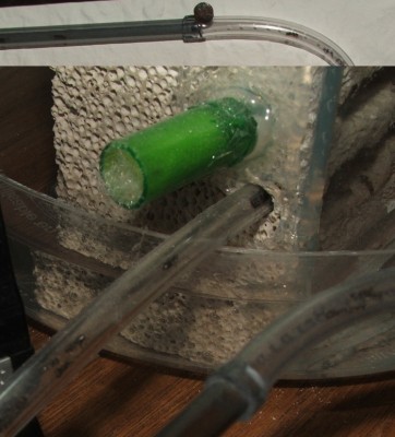 19 22.04.2011 j Ameisen im neuen Rohrsystem.JPG