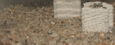 19 22.04.2011 k mehr.JPG