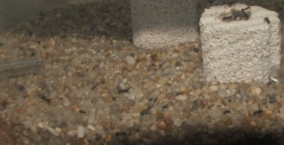 19 22.04.2011 l und.JPG