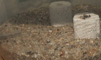 19 22.04.2011 m mehr Arbeiterinnen.JPG