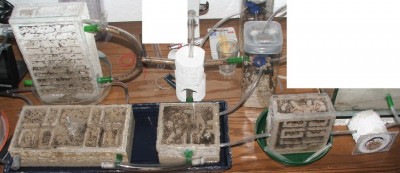 23 30.04.2011 a Gesammtansicht.JPG