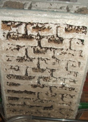 24 07.05.2011 d Vertikalnest 4 Frontansicht.JPG