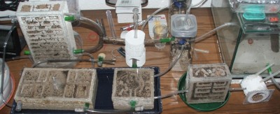 25 09.05.2011 a Gesammtansicht.JPG