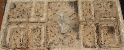 25 09.05.2011 f großes Horizontalnest.JPG