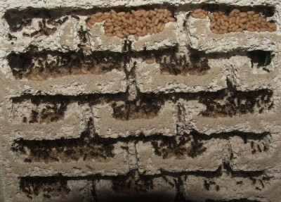 26 11.05.2011 c Puppenlager 3 Hängematten.JPG