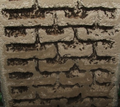 26 11.05.2011 d Puppenlager 4 etwas weiter unten ohne Puppen.JPG