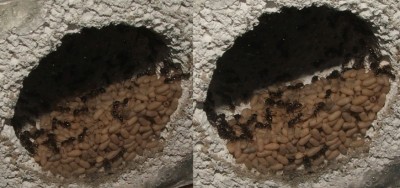 28 22.05.2011 b Wasserschleuse.JPG