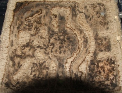 28 22.05.2011 h kleines Horizontalnest 1.JPG