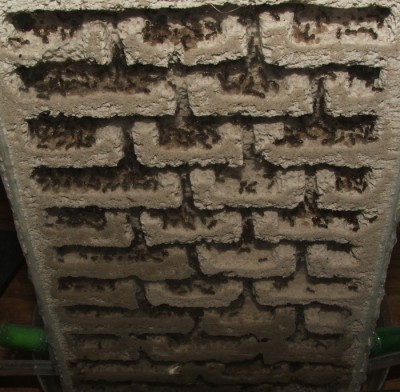 28 22.05.2011 m großes Vertikalnest 2 Frontansicht.JPG