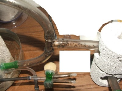 28 22.05.2011 o Schlauch.JPG