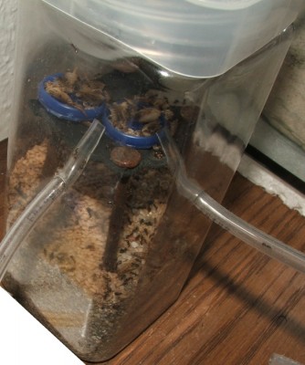 28 22.05.2011 p Puppenhaufen in der Arena 1.JPG