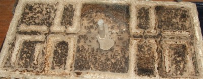 30 18.06.2011 k großes Horizontalnest.JPG