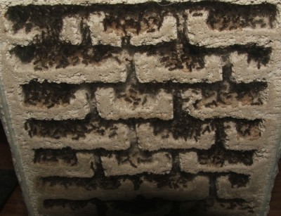 30 18.06.2011 n großes Vertikalnest 3 Frontansicht oben.JPG