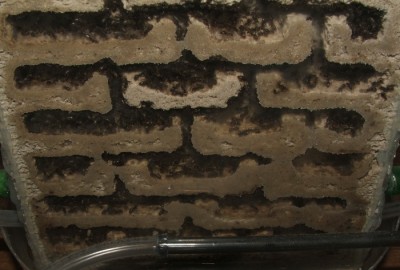 30 18.06.2011 o großes Vertikalnest 4 Frontansicht unten.JPG