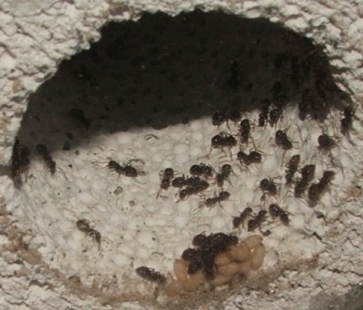 31 11.07.2011 a Wasserschleuse.JPG