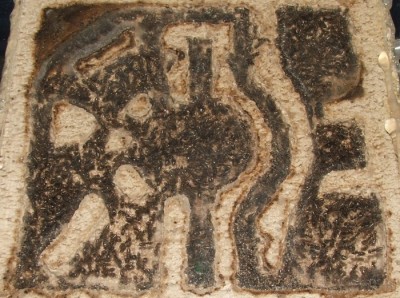 31 11.07.2011 f kleines Horizontalnest.JPG