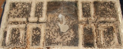 31 11.07.2011 g großes Horizontalnest.JPG