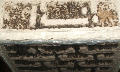 31 11.07.2011 i großes Vertikalnest 2 Dachgeschoss.JPG