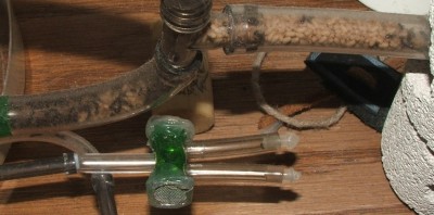 31 11.07.2011 k Schlauchpuppen.JPG