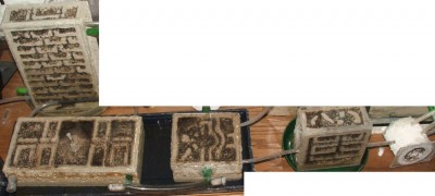 32 03.08.2011 a Gesammtansicht.JPG