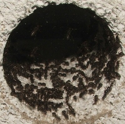 32 03.08.2011 b Wasserschleuse.JPG