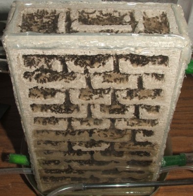 32 03.08.2011 h großes Vertikalnest 1.JPG